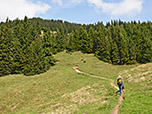 Von der Altkaseralm leitet uns ein Pfad...