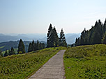 ...folgen wir dem Fahrweg bergab Richtung Parkplatz Erlerberg