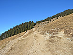 Nach der Alm folgen wir einem ausgewaschenen Pfad