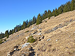 ...und halten auf den Waldgürtel unterhalb des Spitzstein-Gipfels zu