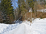 Vom Wanderparkplatz beim Schweibernlift folgen wir dem Forstweg Richtung Spitzstein