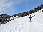 ...und halten auf ein Waldstück zu