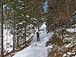 Wir erreichen lichten Bergwald