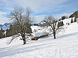 Blick zurück zur Steinmoosalm