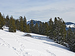 Blick zur Aueralm