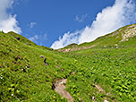 ...bevor wir zu einem Wiesensattel hinauf steigen