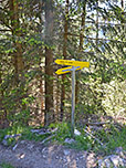 Vom Forstweg zweigt ein Waldpfad ab, ...