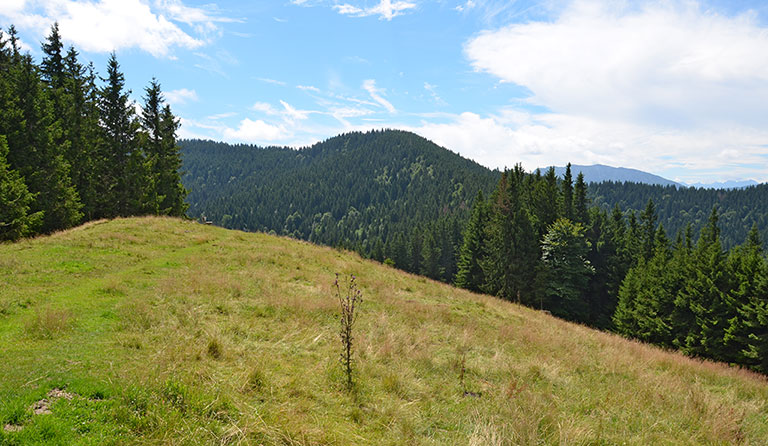Stallauer Eck (1213 m), Enzenauer Kopf (1201 m)
