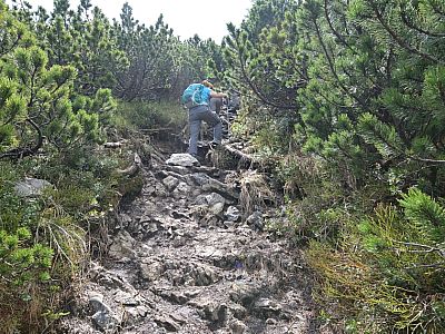 Auch hier ist ein Minimum an Trittsicherheit nötig