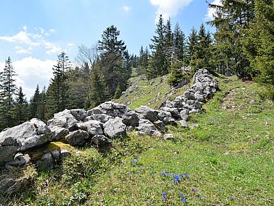 Eine Steinmauer ziert den Grat im unteren Bereich