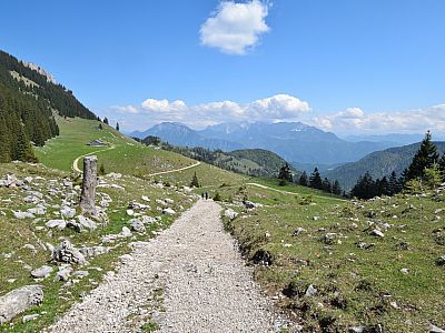 Der Weg nach rechts führt über Almwiesen zur Brünnsteinhütte