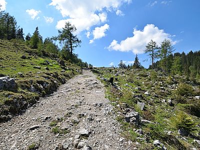 Ein Stück müssen wir wieder ansteigen, ...