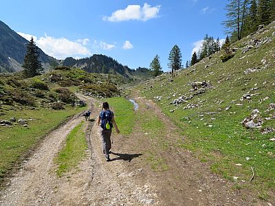 Hier halten wir uns links