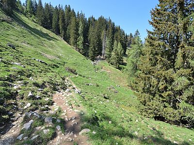 Nach Norden queren wir Wälder und Wiesen