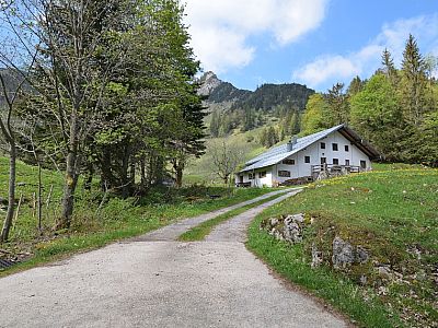 Wir steigen weiter auf zur Rosengassenalm