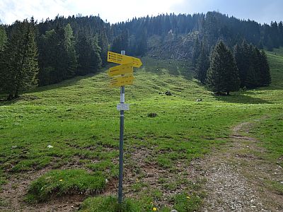 Hier biegen wir links ab