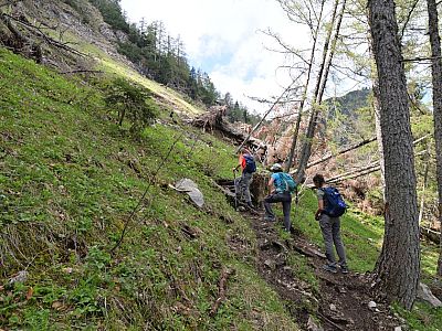 Die Lawinen des letzten Winters haben ihre Spuren hinterlassen