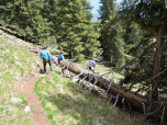 Der Weg wird flacher und ...