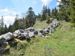 Eine Steinmauer ziert den Grat im unteren Bereich