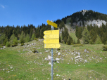 Wir halten uns links, zurück in die Rosengasse