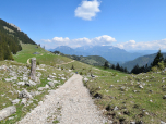 Der Weg nach rechts führt über Almwiesen zur Brünnsteinhütte