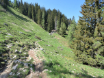 Nach Norden queren wir Wälder und Wiesen