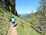 Der Weg verläuft weitgehend auf gleicher Höhe