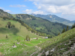 Der Ausblick zum Wendelstein wird frei