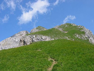 Über den Grasrücken geht´s bergauf