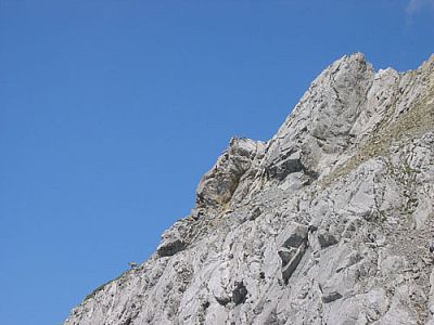 Gemse (links) in luftiger Höhe