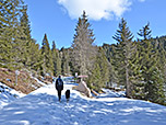 Wir folgen von der Jenesier Jöchl-Alm dem Weg Nr. 5...