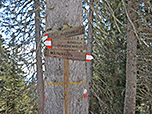 ...und unseren Abstieg zum Möltner Kaser fortsetzen