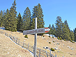 ...zur Jenesier Jöchl-Alm