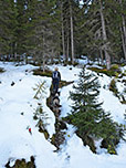 Diesen verlassen wir aber gleich wieder und schlagen einen Waldpfad ein