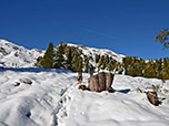 ...zum weitläufigen Almgelände der Inneren Wurzeralm