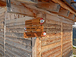 An der Hütte biegen wir rechts ab...