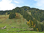 Blick zum Rotkopf...