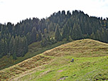 ...und zum Stolzenberg