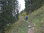 Wir queren einen bewaldeten Hang
