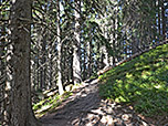 Durch den Bergwald queren wir am Rotkopf vorbei