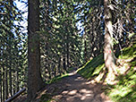 Der Weg wird langsam komfortabler