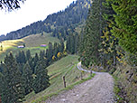 Auf dem Rückweg zur Haushamer Alm