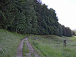 Von der Peterer Alm folgen wir einem Karrenweg zum Waldrand...