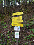 ...zu einem Abzweig im Wald