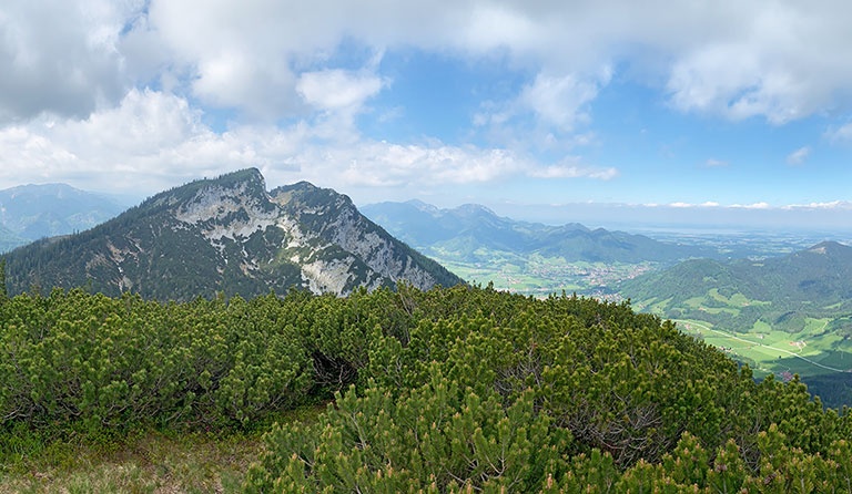 Streicher (1594 m) - Inzeller Kienberg