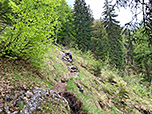 ...führt uns durch lichten Bergwald bergauf