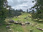 Blick zurück zum grasigen Sattel