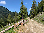 An der Kienbergalm schlagen wir den Fahrweg ein, ...