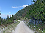 Wir folgen weiter dem Fahrweg