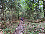 ...und über einen Waldpfad abkürzen